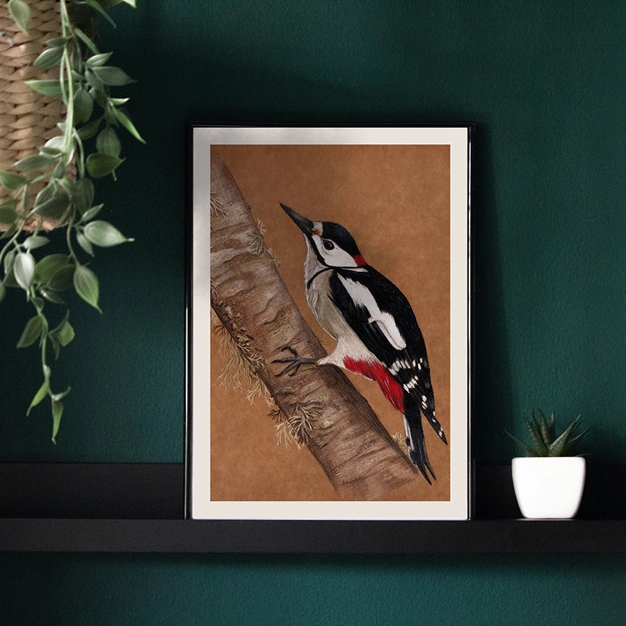 Great Spotted Woodpecker - Print
