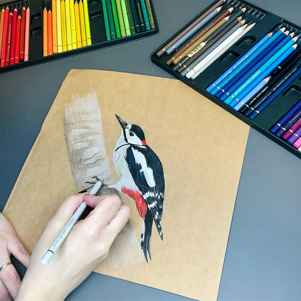 Great Spotted Woodpecker | polychromos