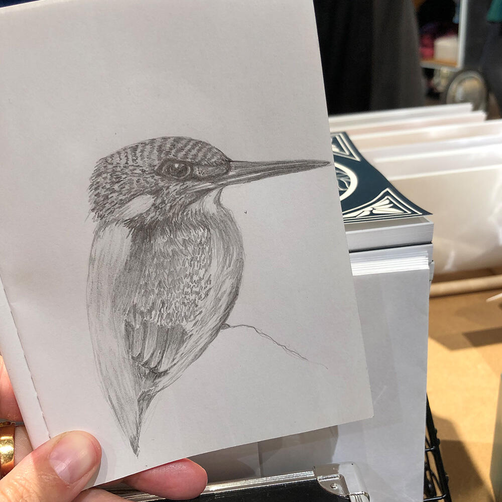 Common Kingfisher sketch | graphite
