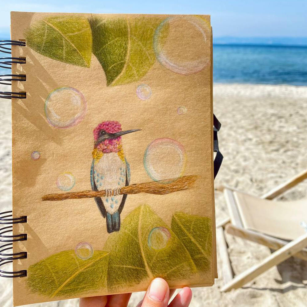 Anna's Hummingbird | polychromo pencils