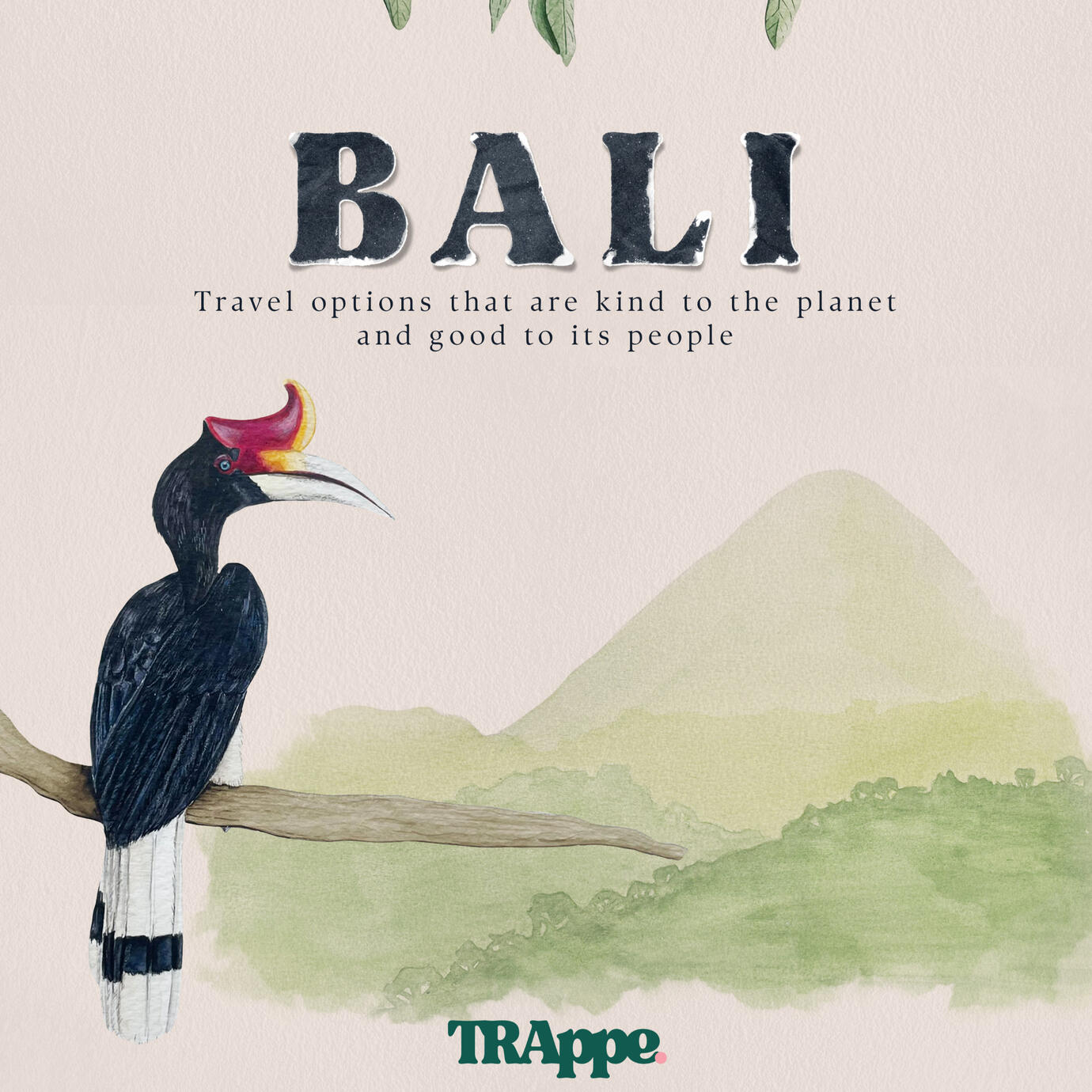 Rhinoceros Hornbill | watercolour for book cover