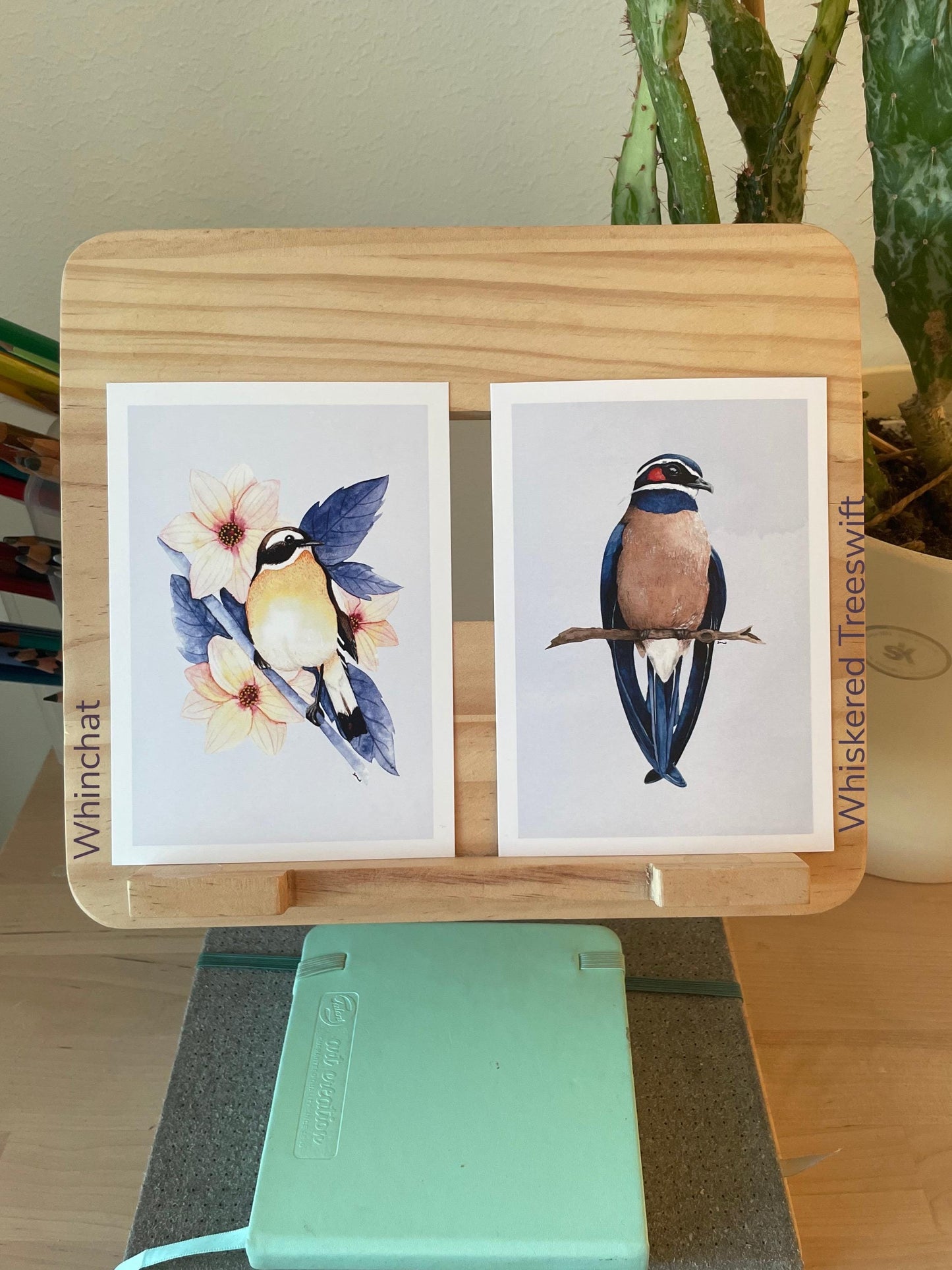 Bird Postcards - Hand-Drawn Bird Illustrations - A6 size - Nature Stationery