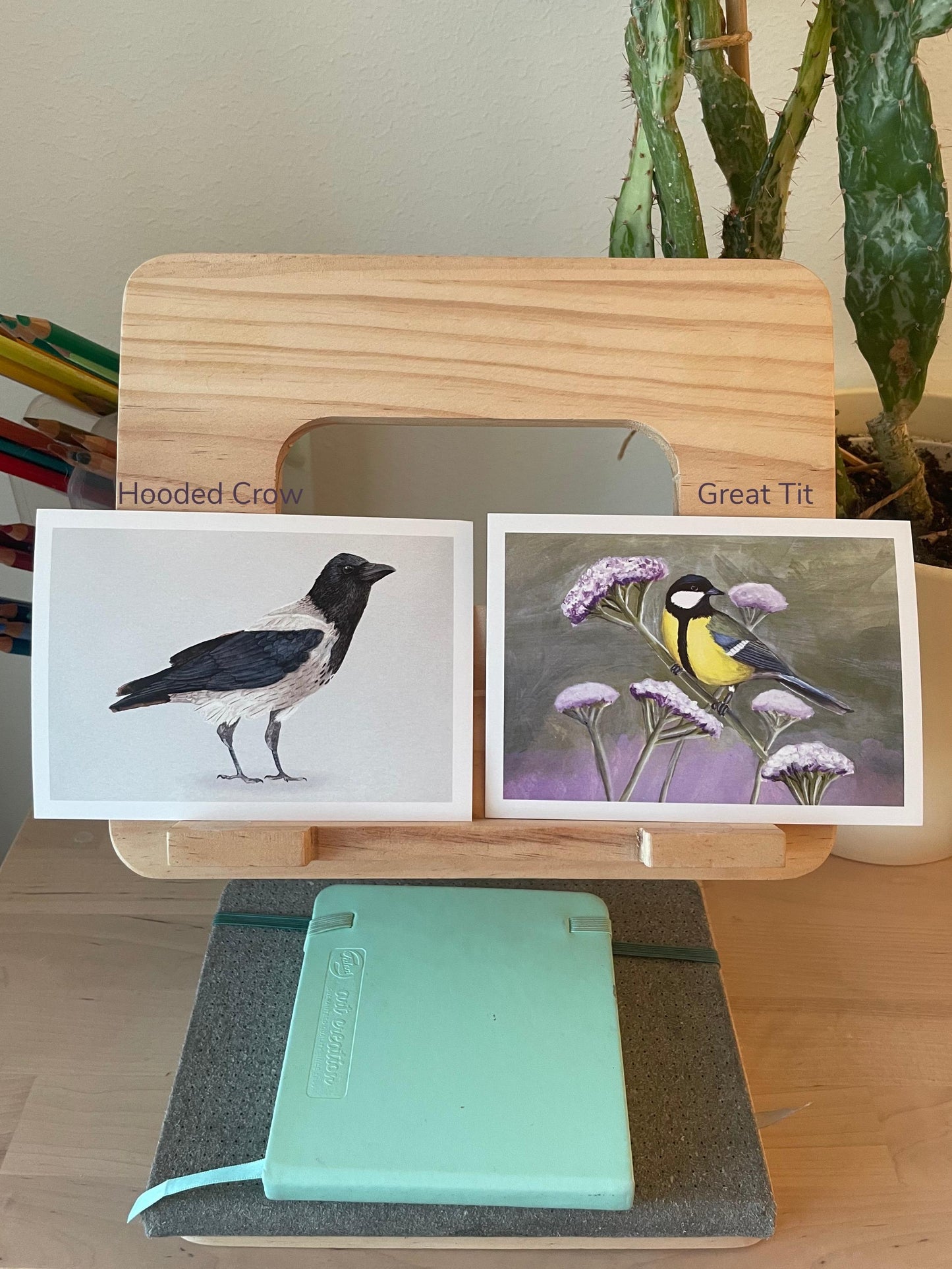 Bird Postcards - Hand-Drawn Bird Illustrations - A6 size - Nature Stationery