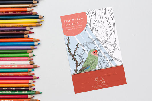 Feathered Dreams - Bird Colouring Book