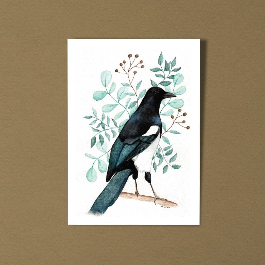Bird Illustration Postcard