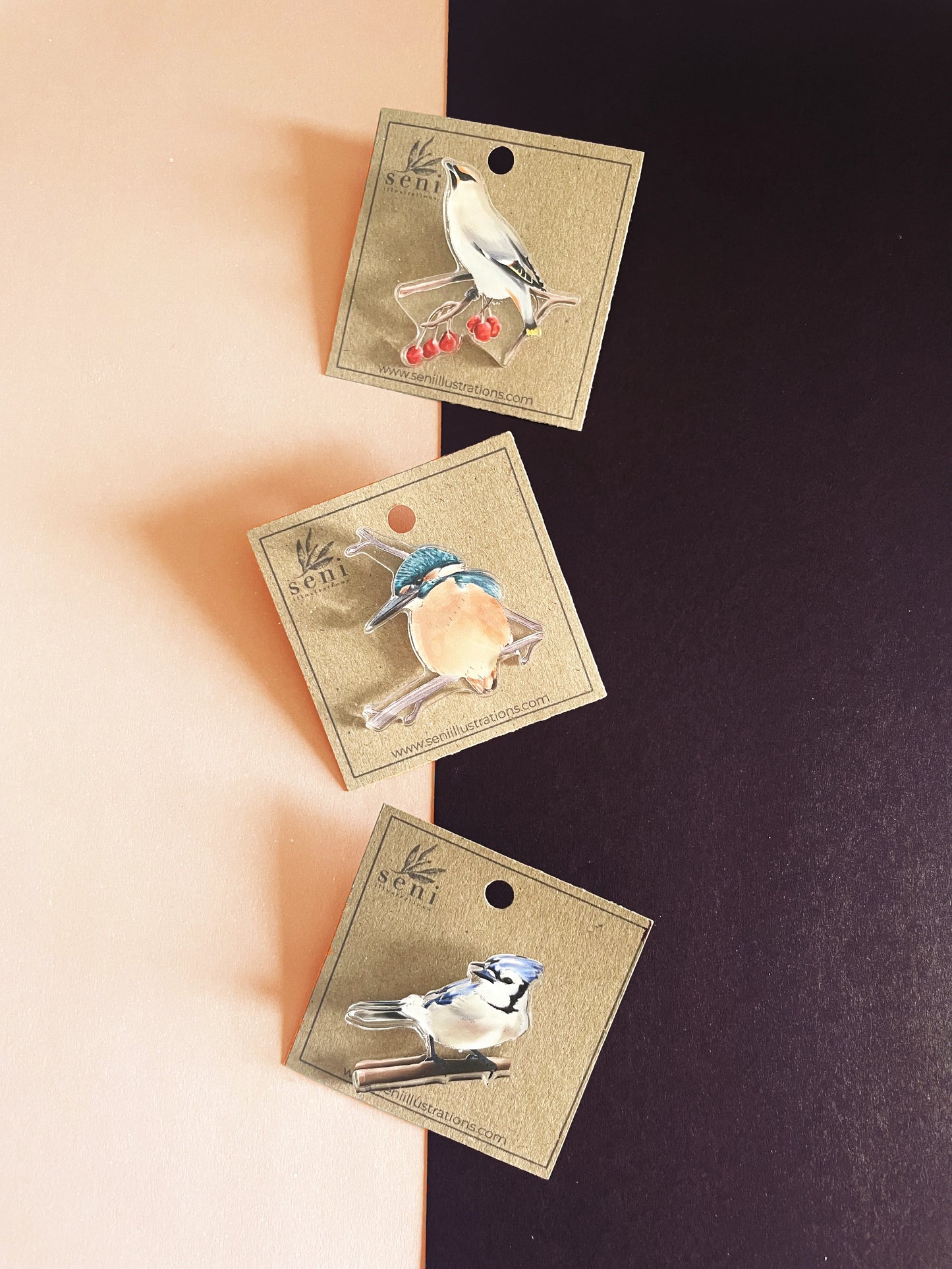 Bird Illustration Acrylic Pin – Hand-Drawn Wildlife Art