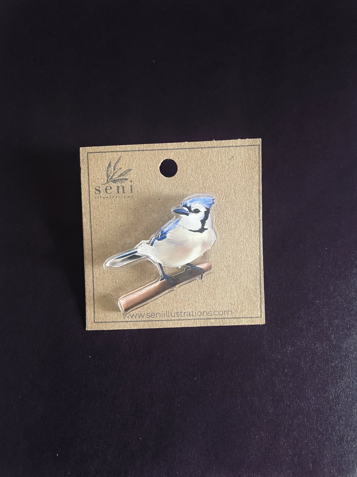 Bird Illustration Acrylic Pin – Hand-Drawn Wildlife Art
