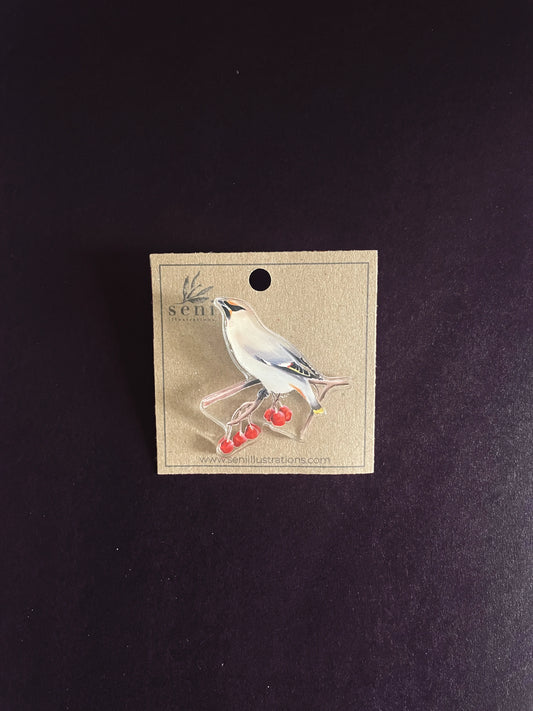 Bird Illustration Acrylic Pin – Hand-Drawn Wildlife Art