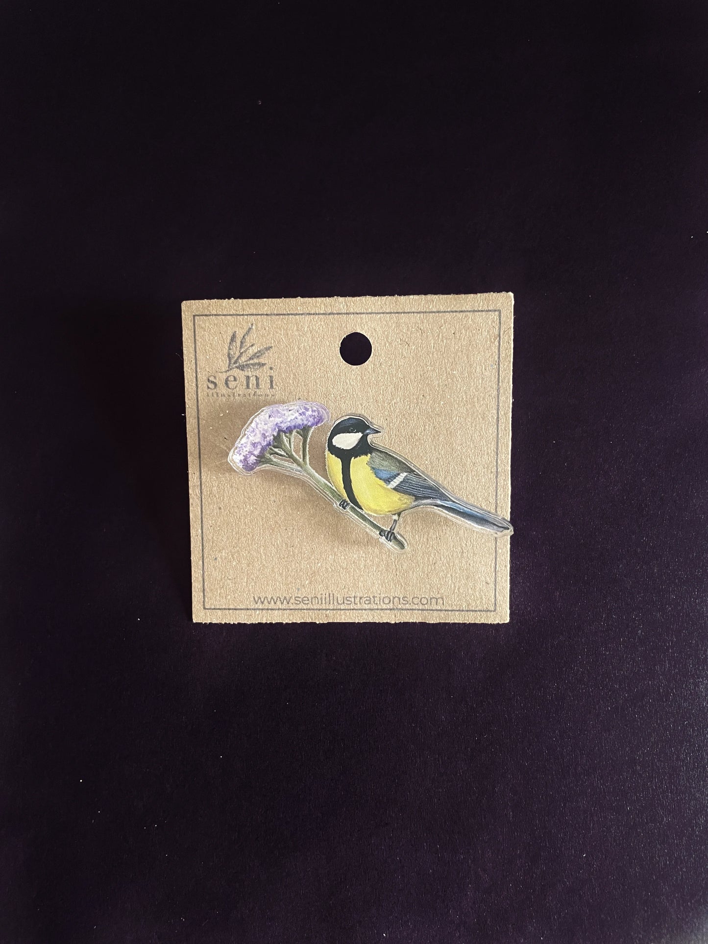 Bird Illustration Acrylic Pin – Hand-Drawn Wildlife Art