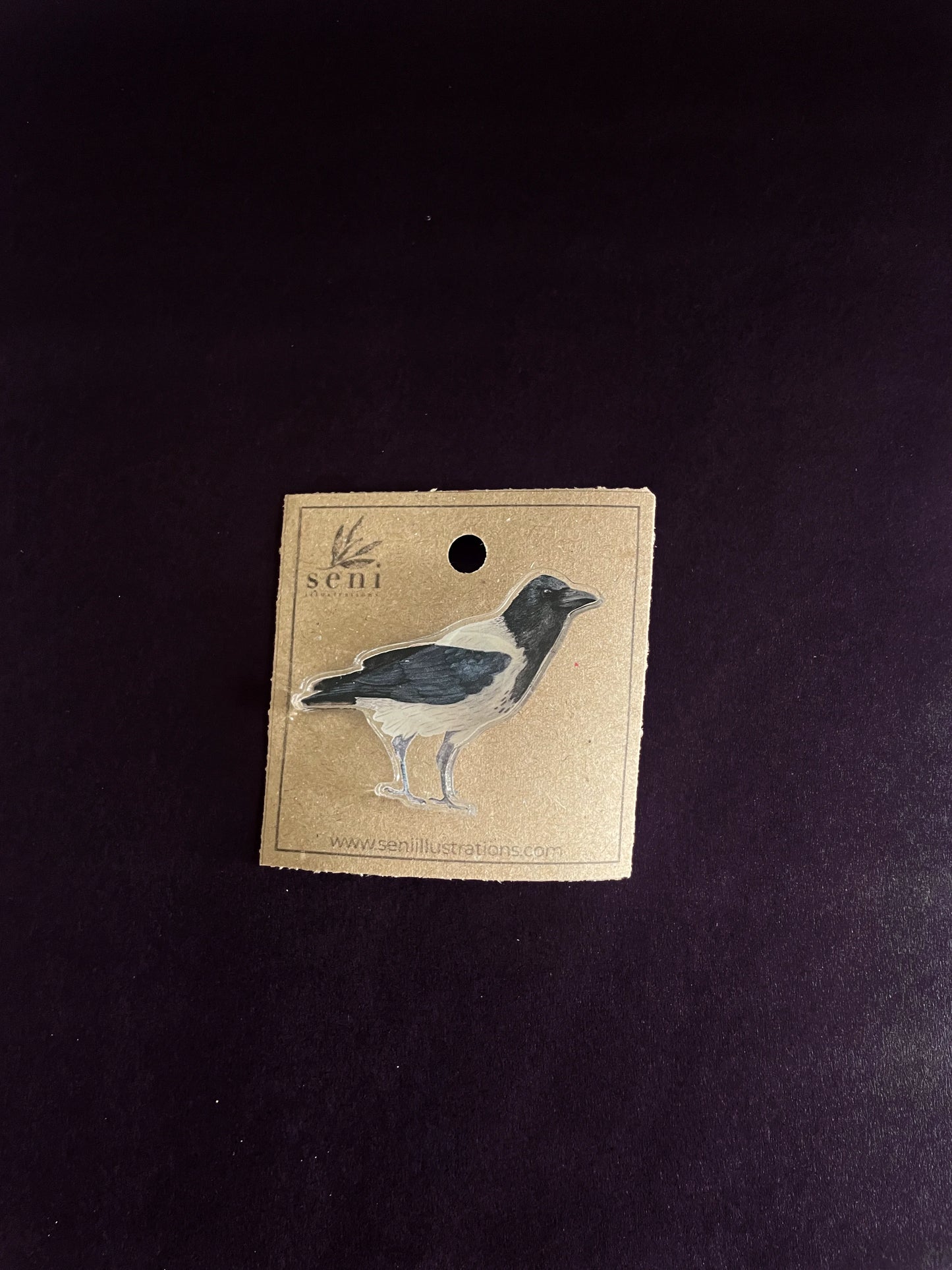 Bird Illustration Acrylic Pin – Hand-Drawn Wildlife Art