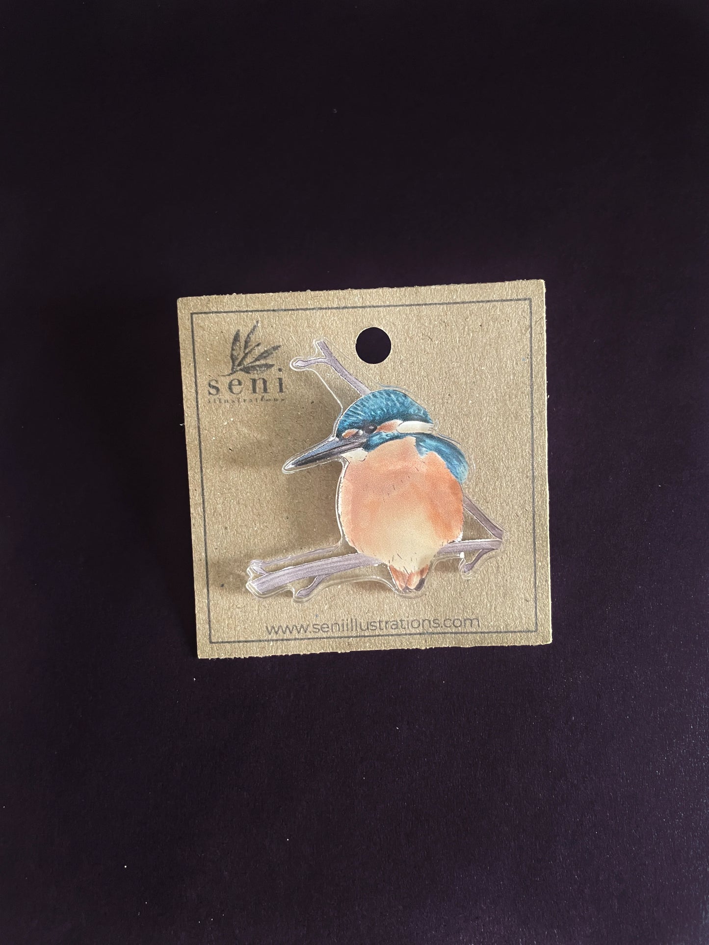 Bird Illustration Acrylic Pin – Hand-Drawn Wildlife Art