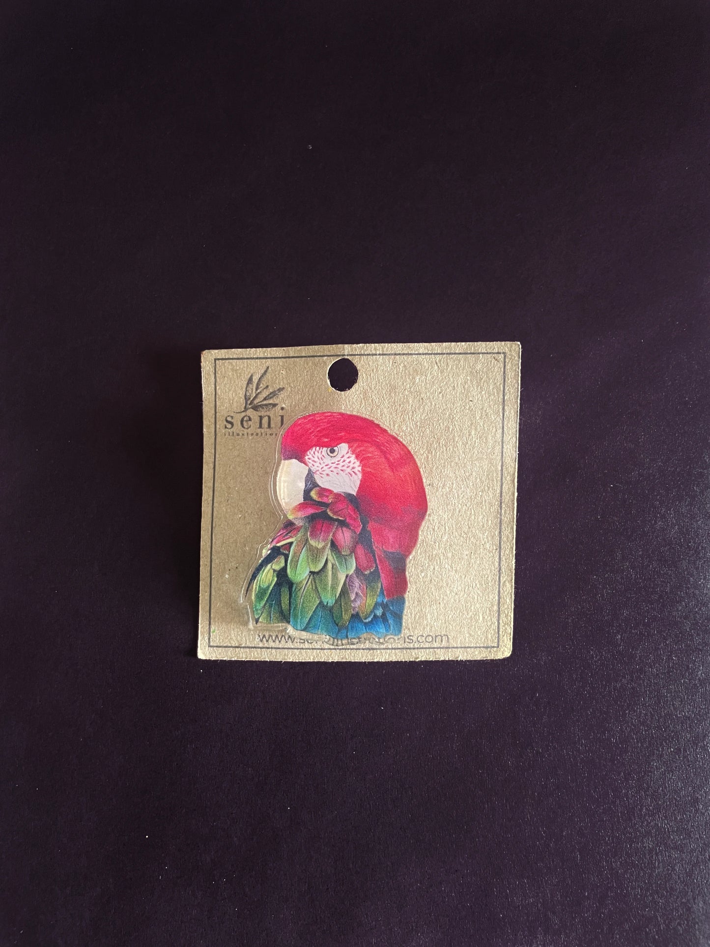 Bird Illustration Acrylic Pin – Hand-Drawn Wildlife Art