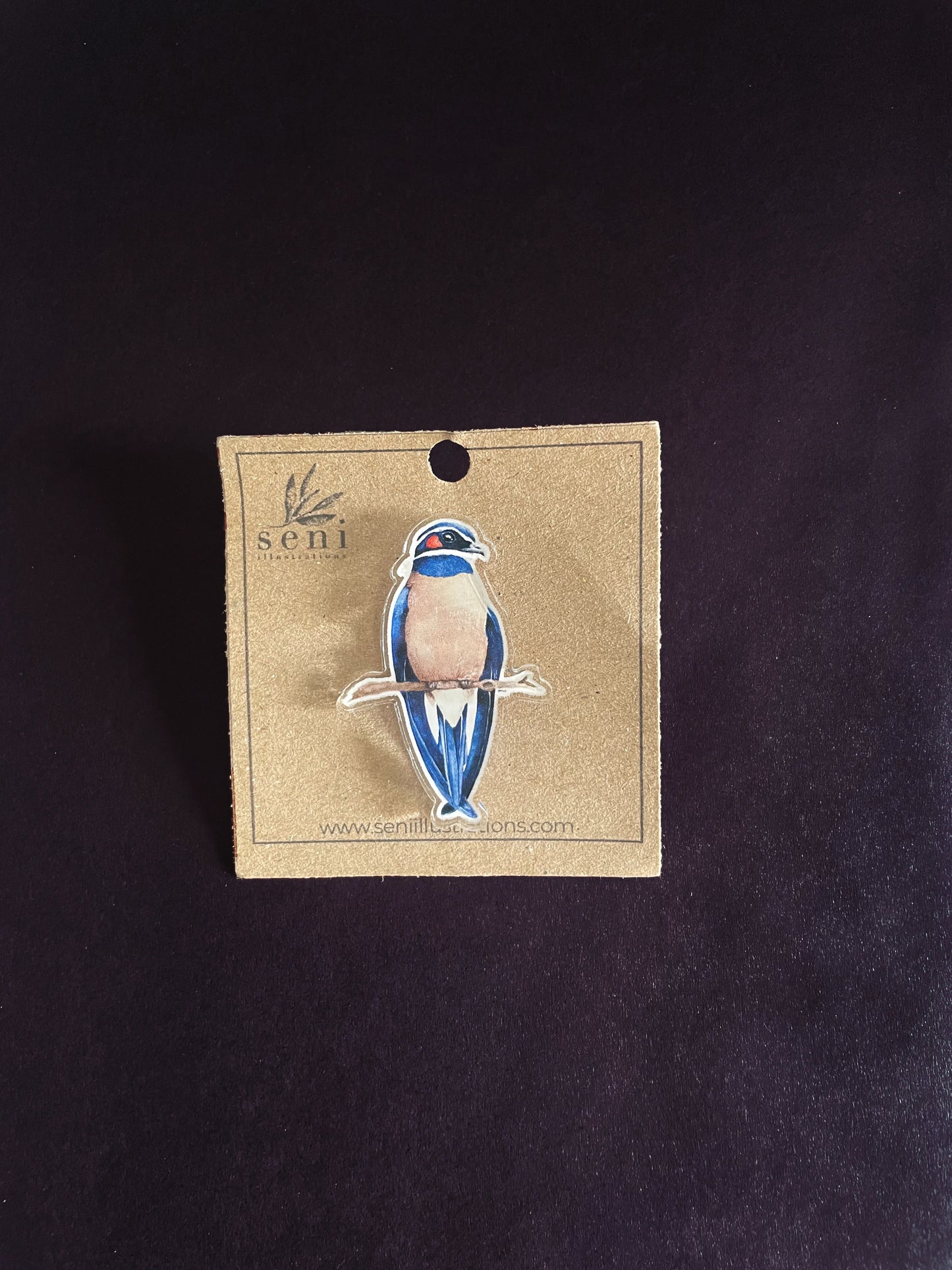 Bird Illustration Acrylic Pin – Hand-Drawn Wildlife Art