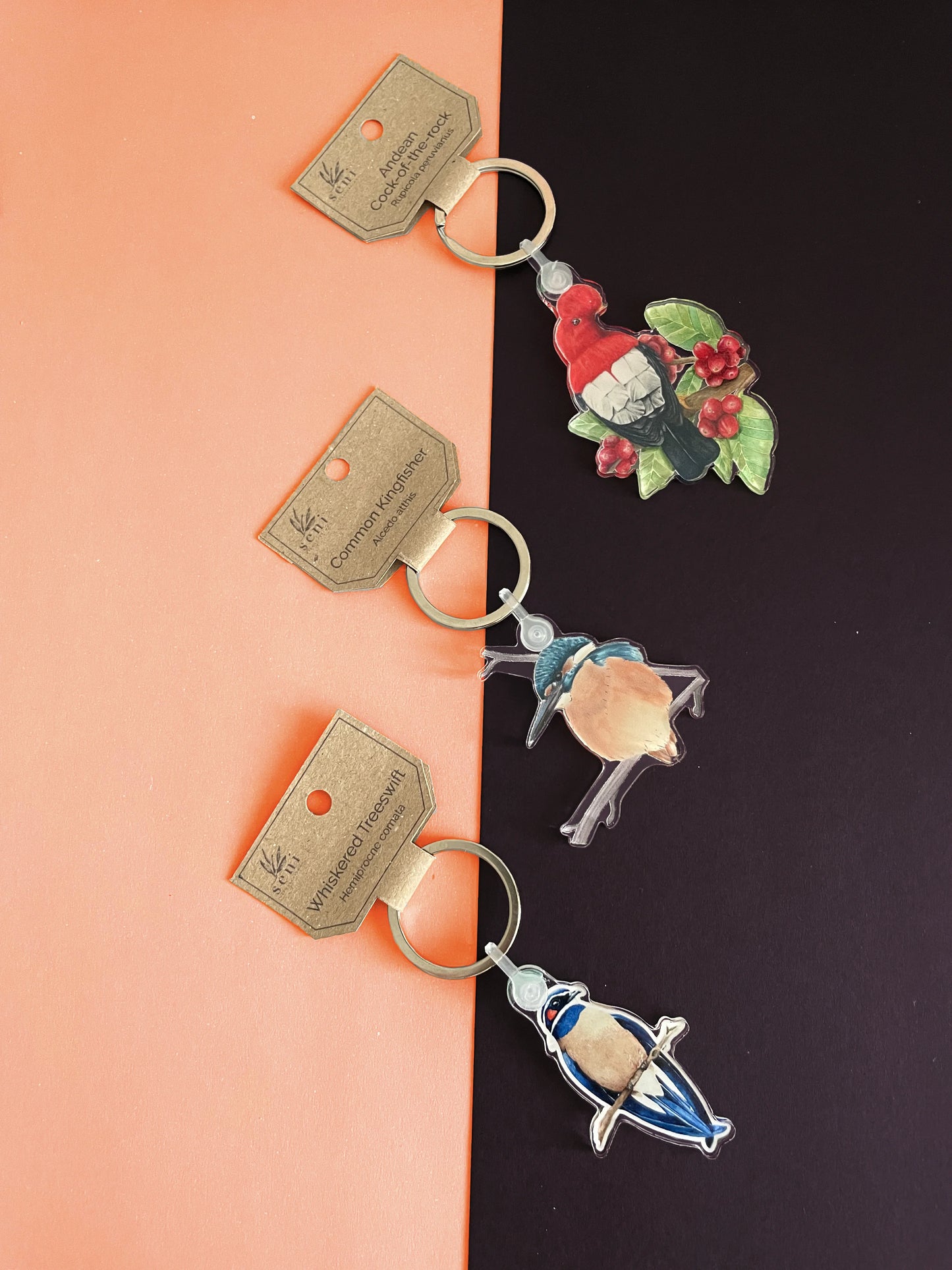 Birdie Charms - Acrylic Bird Keychains - Hand-drawn Illustrations - Cute Bird Keyring - Nature Lover Gift