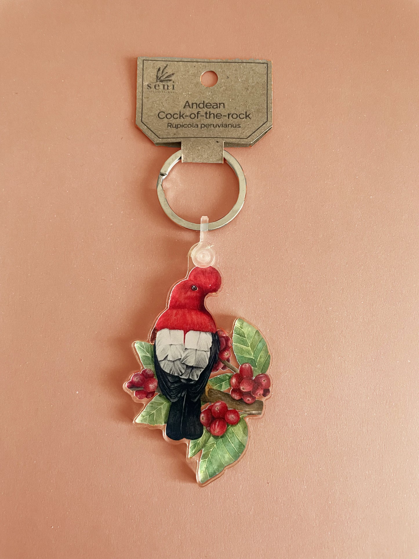 Birdie Charms - Acrylic Bird Keychains - Hand-drawn Illustrations - Cute Bird Keyring - Nature Lover Gift