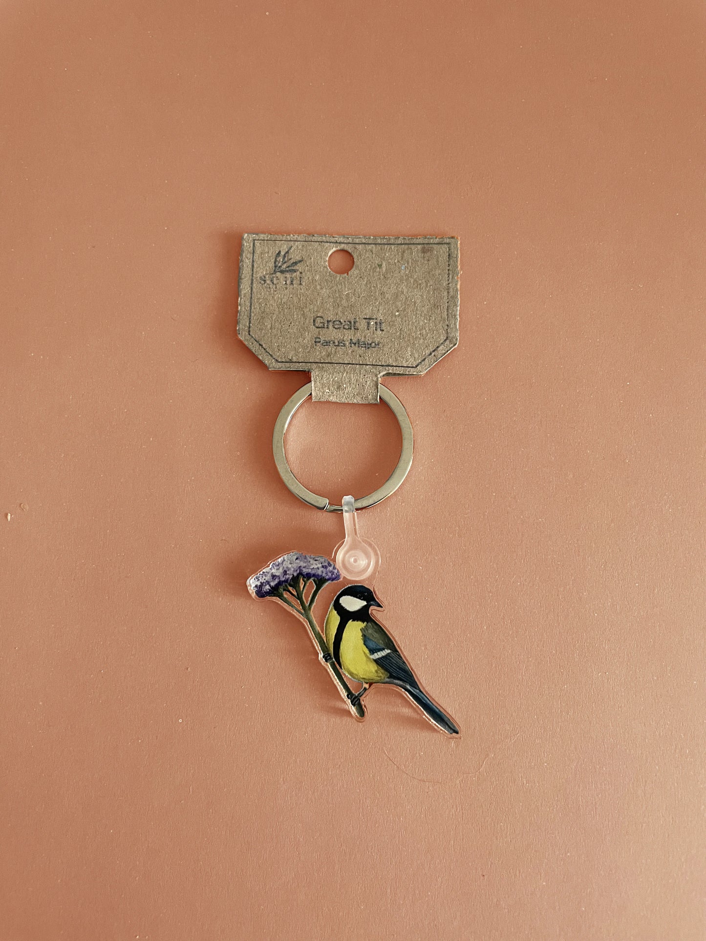 Birdie Charms - Acrylic Bird Keychains - Hand-drawn Illustrations - Cute Bird Keyring - Nature Lover Gift