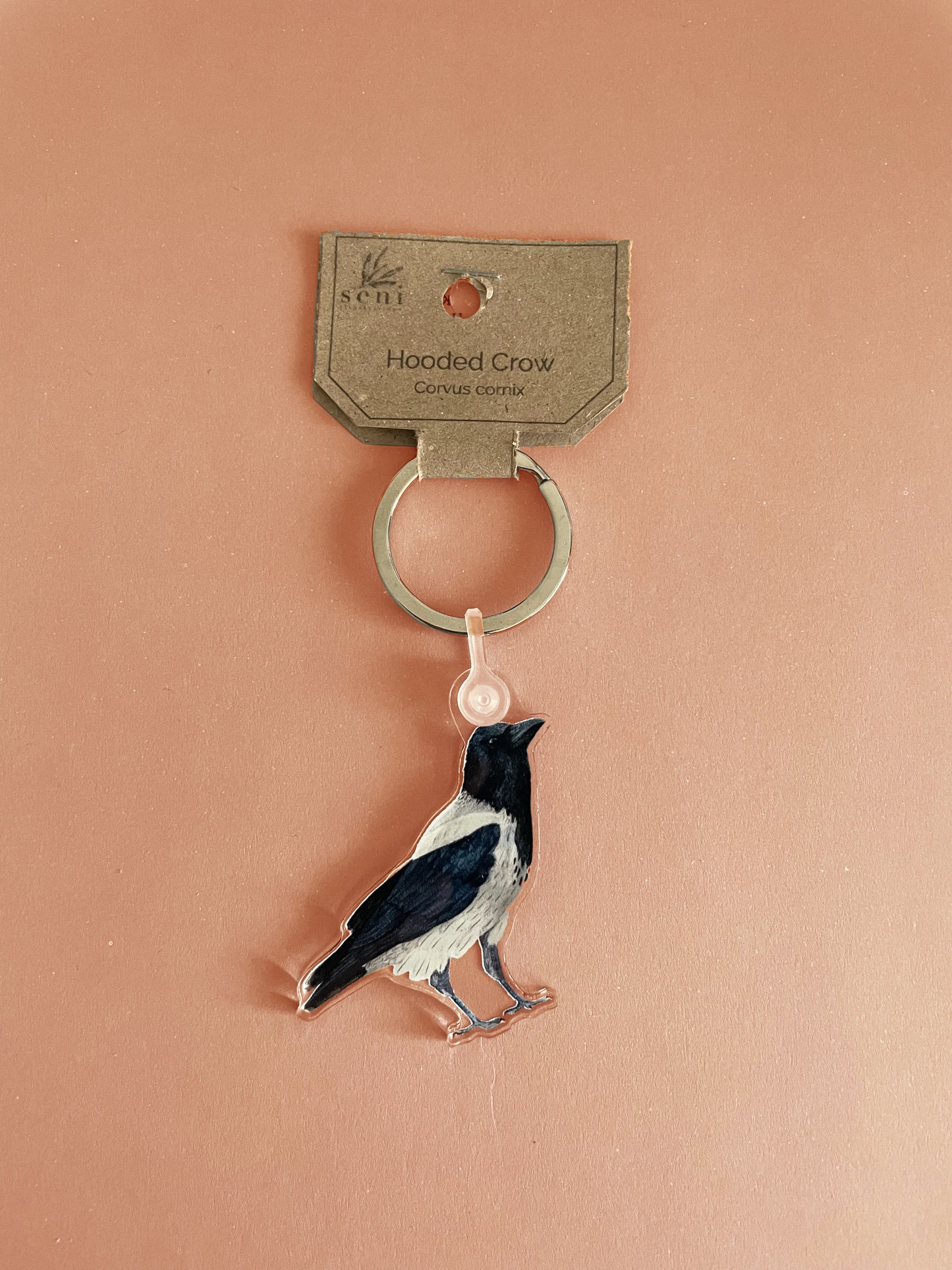 Birdie Charms - Acrylic Bird Keychains - Hand-drawn Illustrations - Cute Bird Keyring - Nature Lover Gift