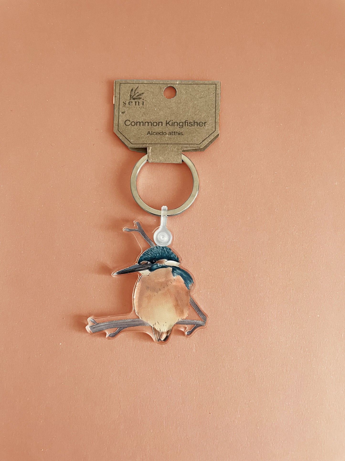 Birdie Charms - Acrylic Bird Keychains - Hand-drawn Illustrations - Cute Bird Keyring - Nature Lover Gift