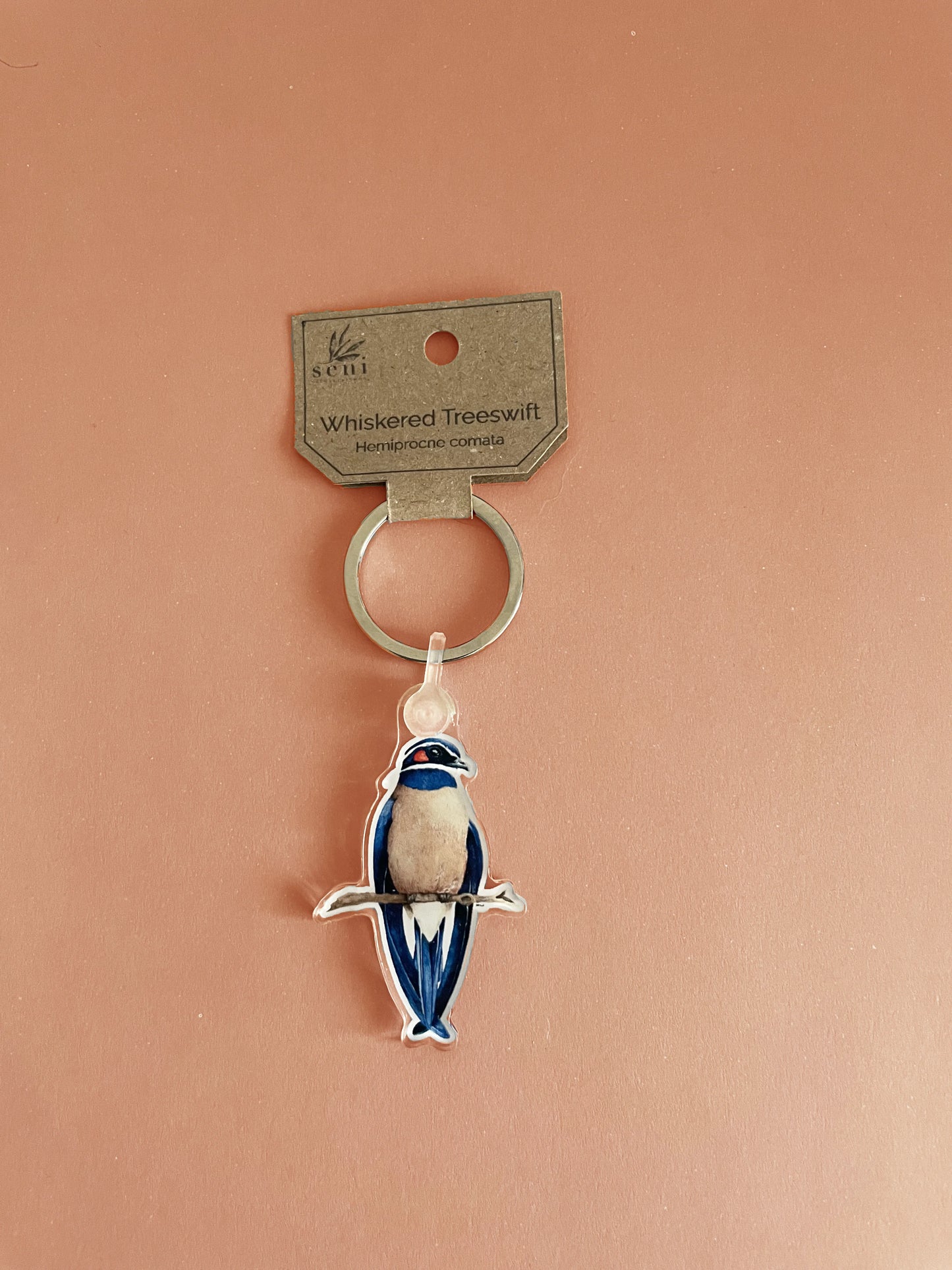 Birdie Charms - Acrylic Bird Keychains - Hand-drawn Illustrations - Cute Bird Keyring - Nature Lover Gift