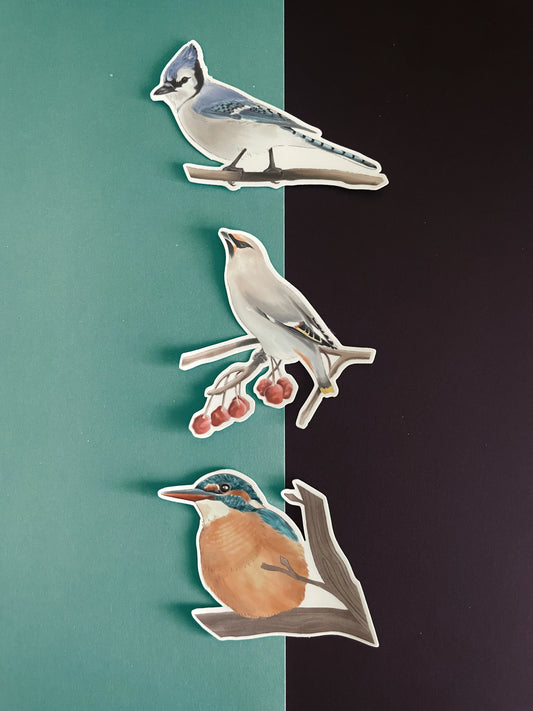 Bird Die-Cut Sticker – Delicate Vinyl | Kingfisher, Waxwing & Blue Jay