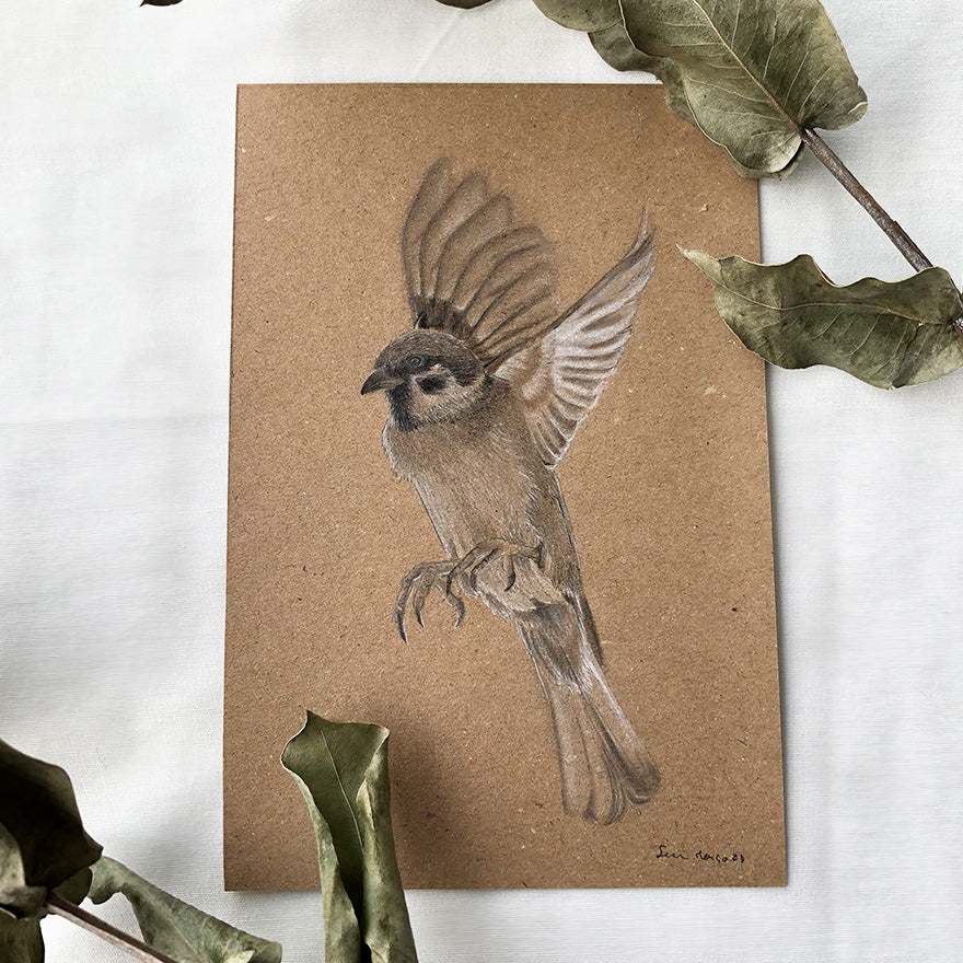 Tree Sparrow - Original Artwork