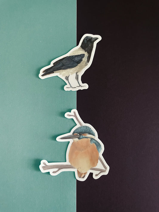 Bird Die-Cut Sticker – Bird Lover Gift – Waterproof Vinyl Decal for Notebooks & Bottles