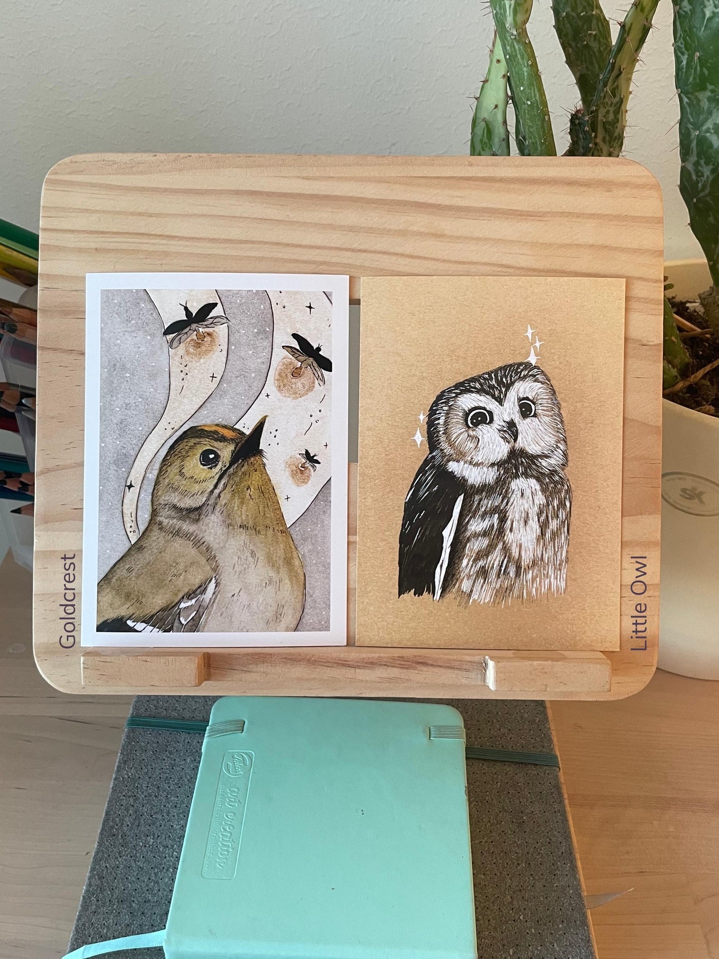 Bird Postcards - Hand-Drawn Bird Illustrations - A6 size - Nature Stationery
