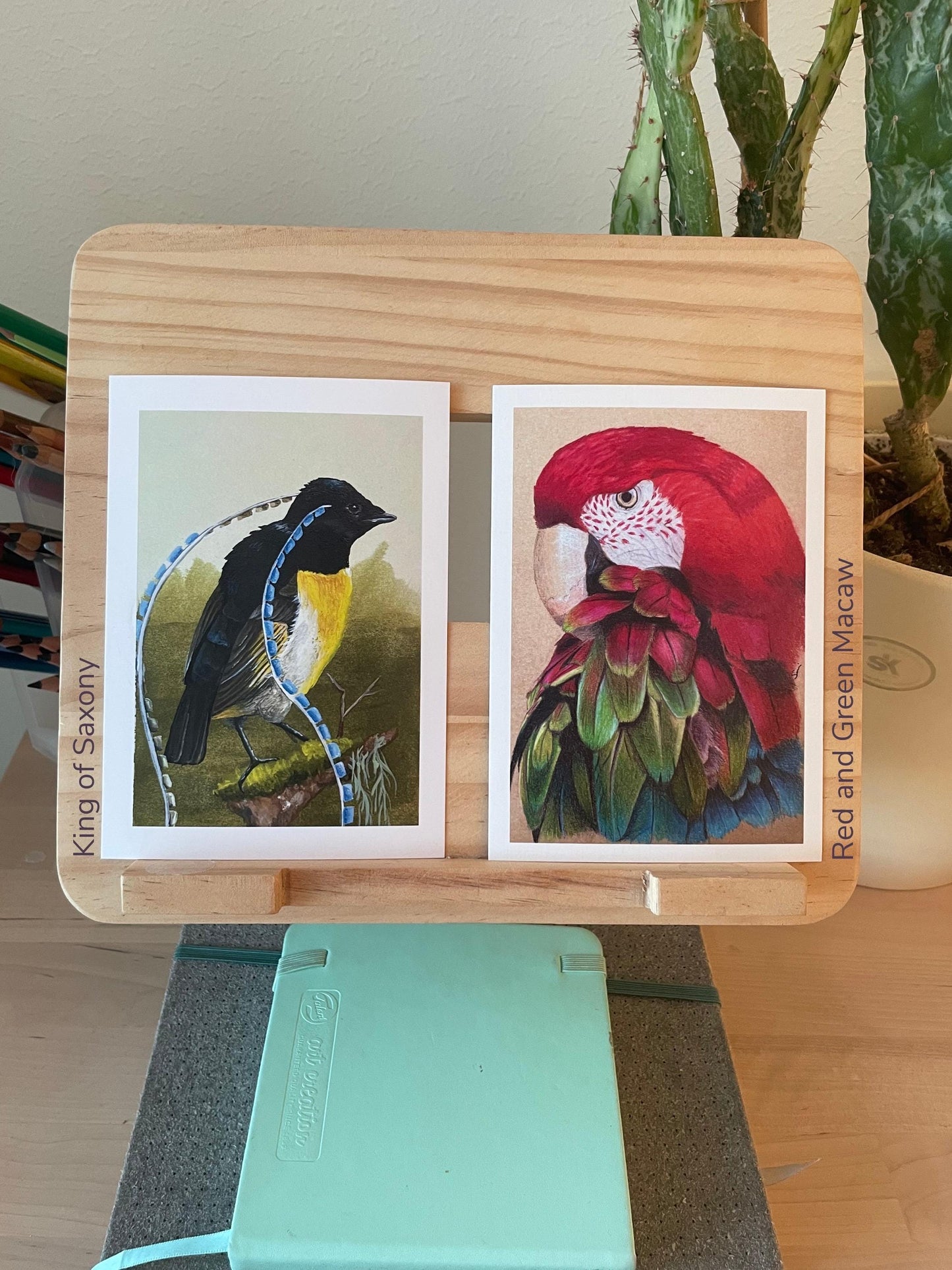 Bird Postcards - Hand-Drawn Bird Illustrations - A6 size - Nature Stationery