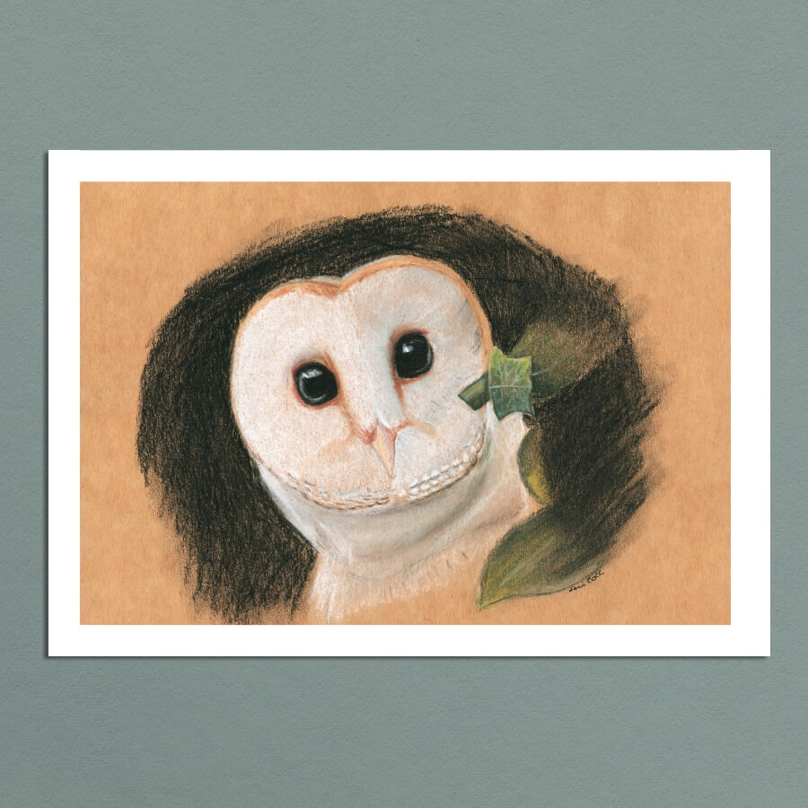 Barn Owl - Print