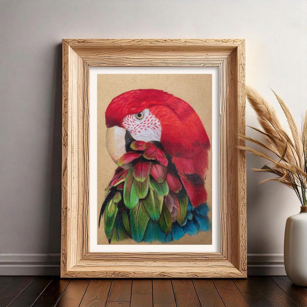 Hand-Drawn Bird Illustration Print – Nature Wall Art