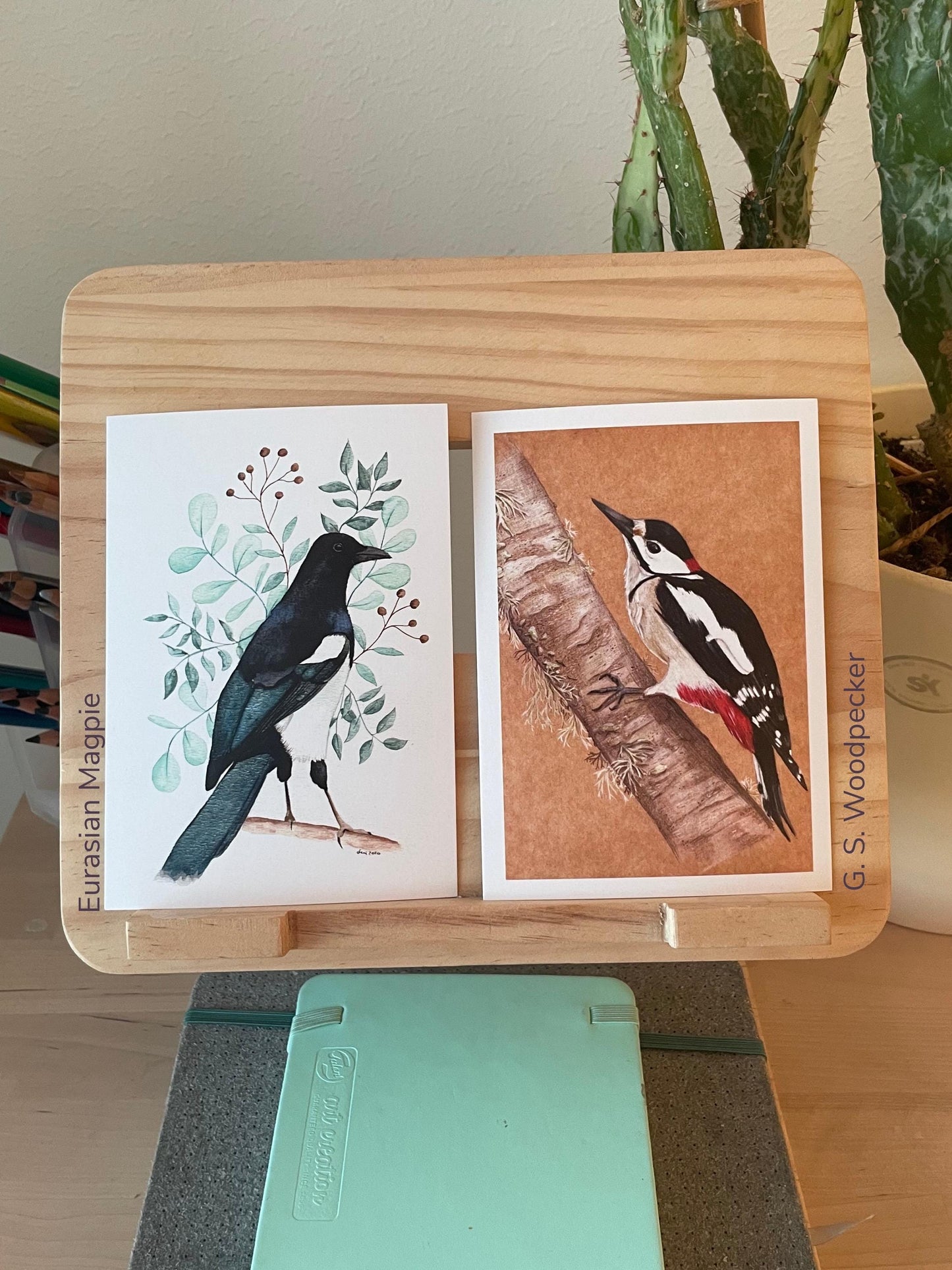 Bird Postcards - Hand-Drawn Bird Illustrations - A6 size - Nature Stationery